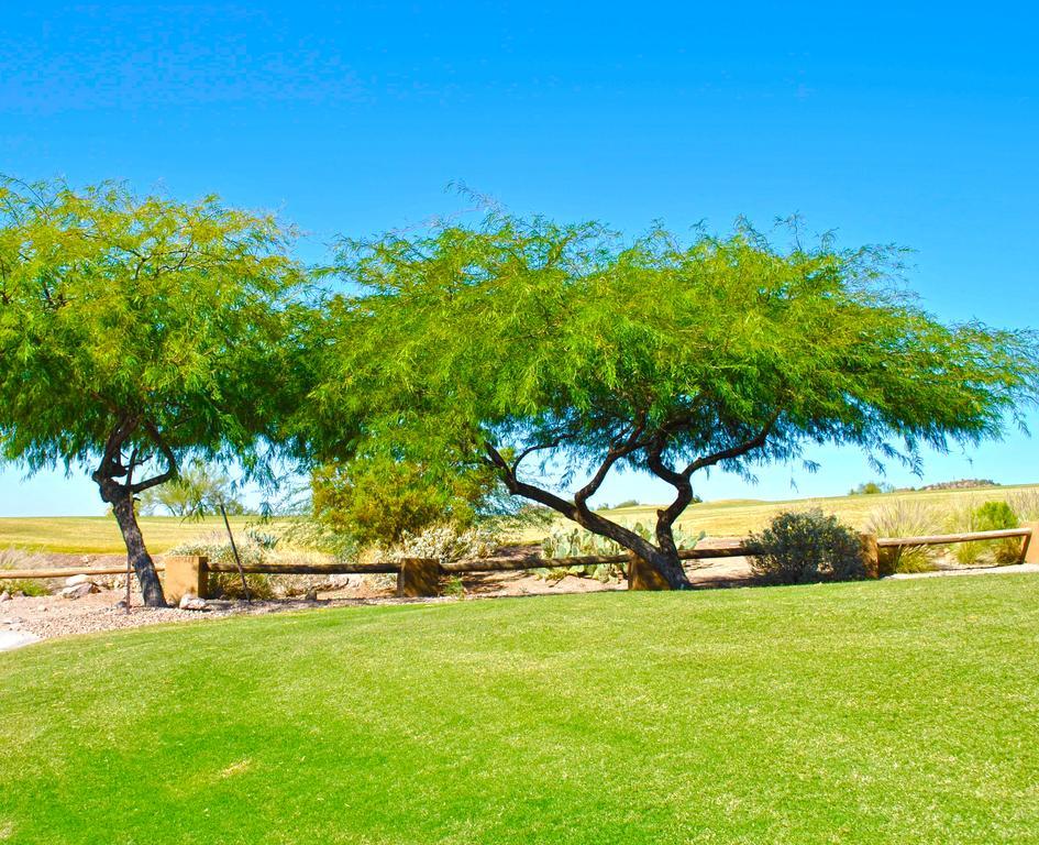 Gold Canyon Golf Resort Habitación foto